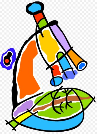 Биология атрибуты