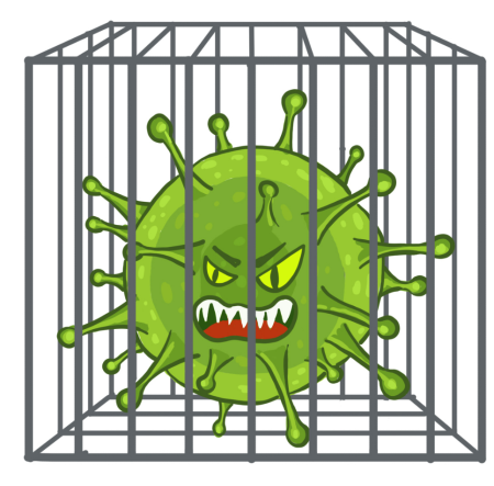 Коронавирус клетка