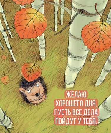Осень иллюстрации