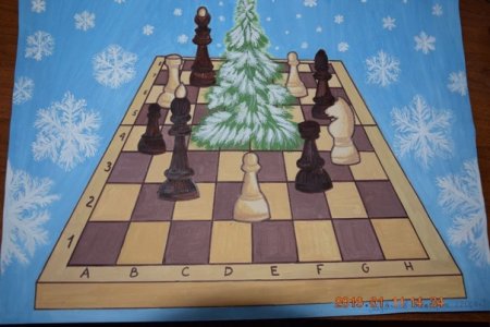 Королевство шахмат