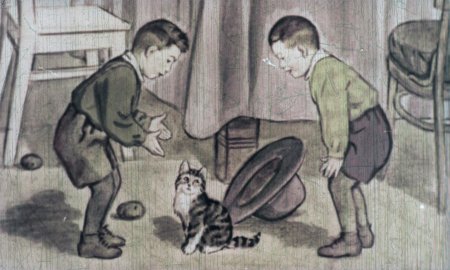 Иллюстрации из книги Живая шляпа