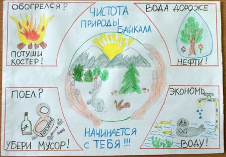 Берегите Арктику