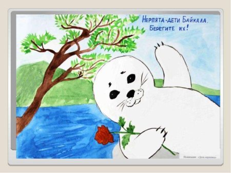 Рисование моржа в подготовительной группе