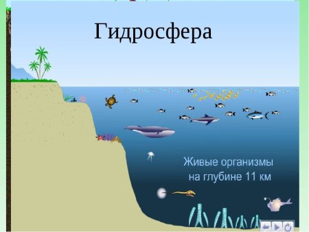Круговорот воды в гидросфере