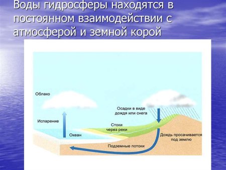 Гидросфера это оболочка земли