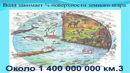 Гидросфера и человек