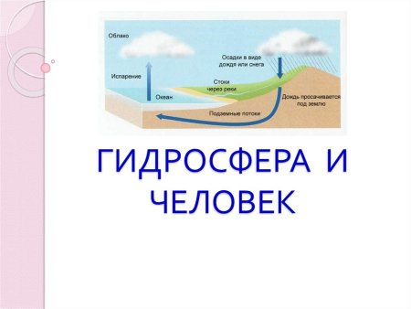 Круговорот загрязнения воды в природе