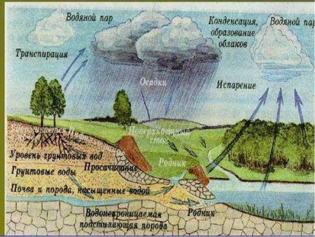 Гидросфера вектор