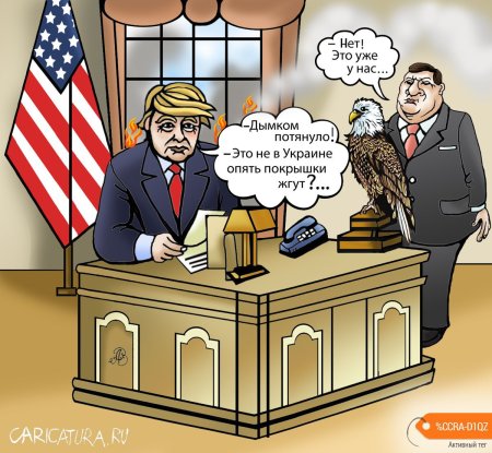 Политическая карикатура