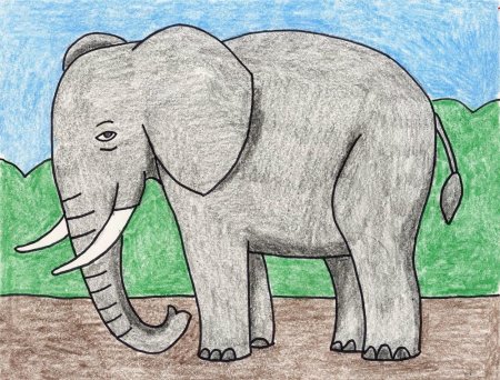 Рисунок слона для срисовки