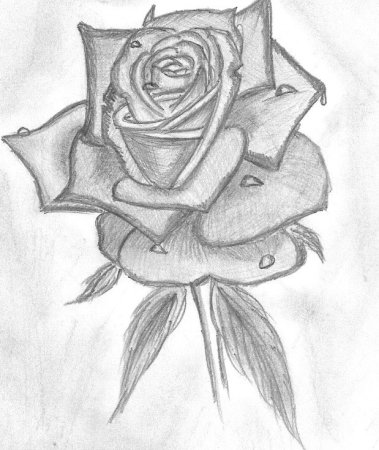 Букет цветов раскраска для детей