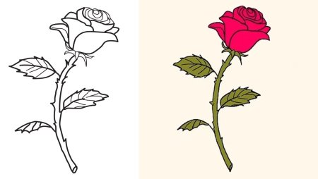 Нарисовать розу