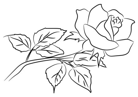 Нарисовать розу