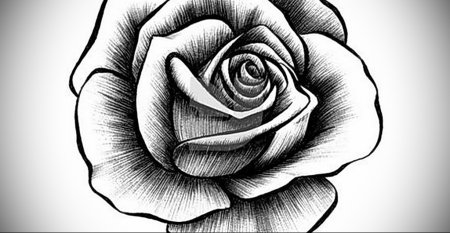Рисунки для срисовки роза легко