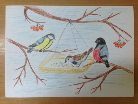 День рисования птиц