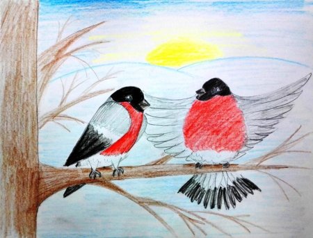 Детские рисунки птиц