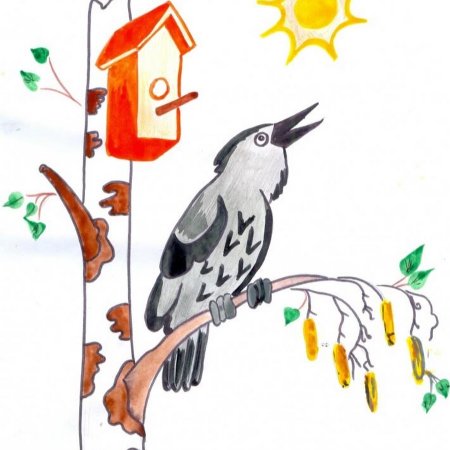 Раскраска для малышей. Птицы