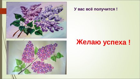 Сирень изо 1 класс