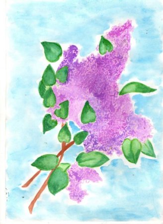 Рисование для детей сирень