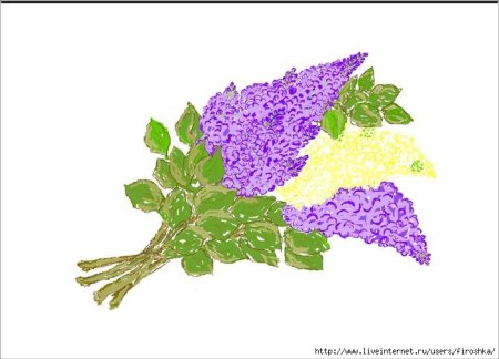 Букет сирени карандашом