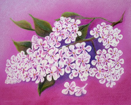 Веточка сирени для рисования