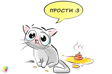 Смешные открытки прости