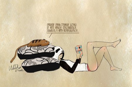 Девочка Панда и кот Барсик добрые рисунки от White Box