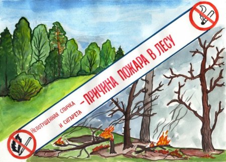 Плакат на тему Лесные пожары