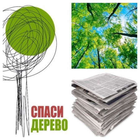 Спаси дерево