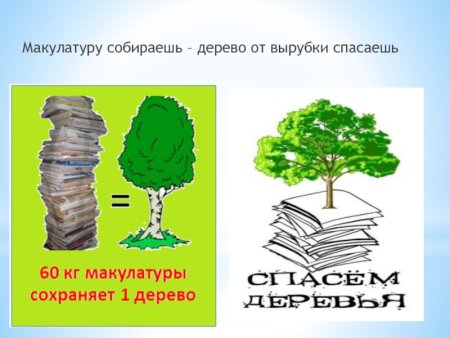Собери макулатуру сохрани дерево