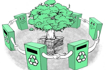 Макулатура дерево