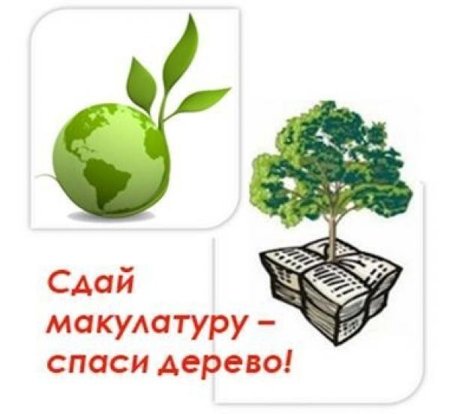 Спасем деревья