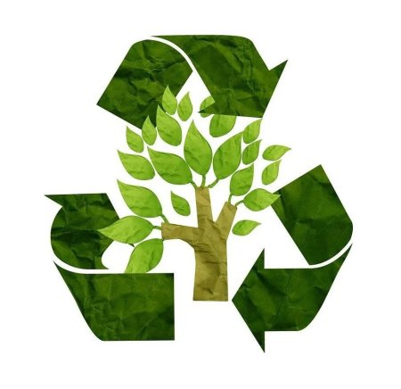 Акция по сбору макулатуры Собери макулатуру Спаси дерево