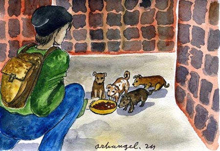 Рисунки бездомных животных