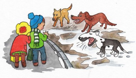 Осторожно бродячие собаки