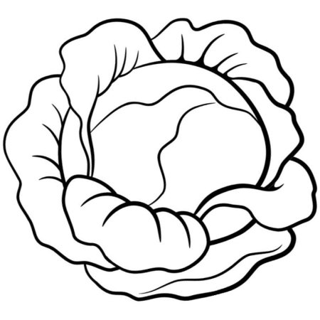 Раскраска овощи капуста