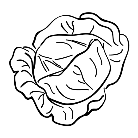 Капуста раскраска для детей