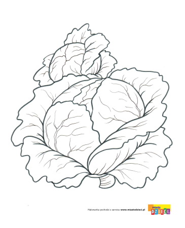 Натюрморт овощи раскраска