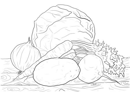 Капуста рисунок для детей