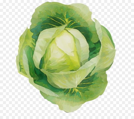 Стилизованная капуста