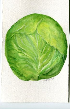 Акварельные зарисовки овощей