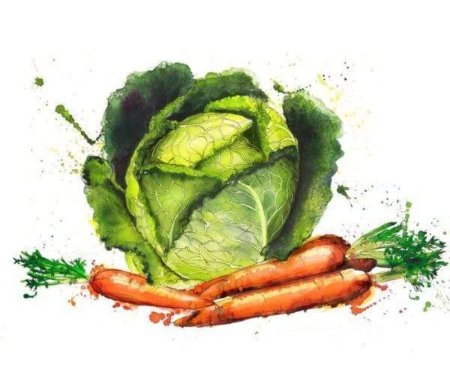 Мальчик в капусте