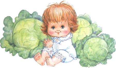 Ребенок в капусте