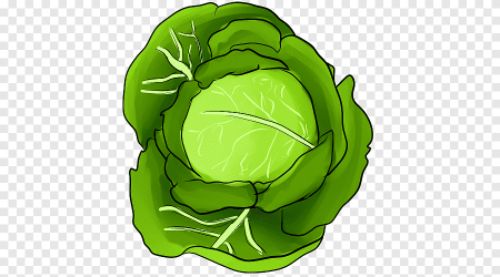 Нарисовать капусту