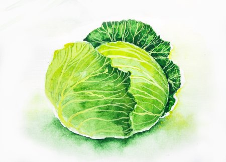 Осенний огород с овощами раскраска