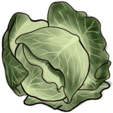 Капуста на белом фоне мультяшная