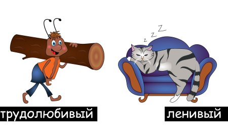 Ленивый и трудолюбивый