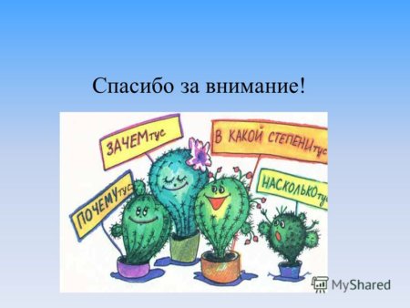 Спасибо за внимание русский язык