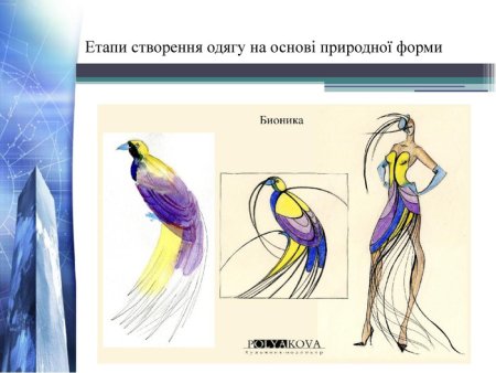 Бионика архитектура Жук