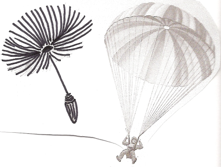 Трансформация рисунок